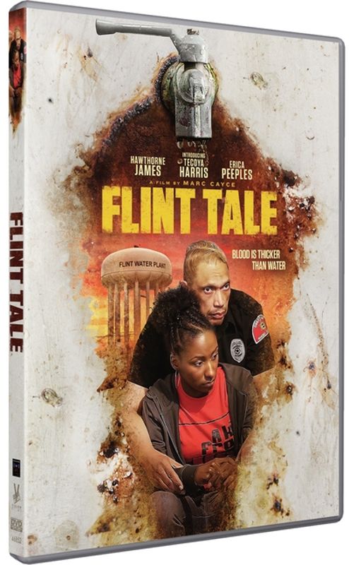 Flint Tale cover art