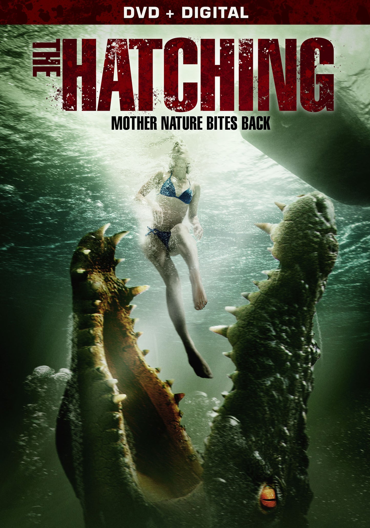 Hatching cover art