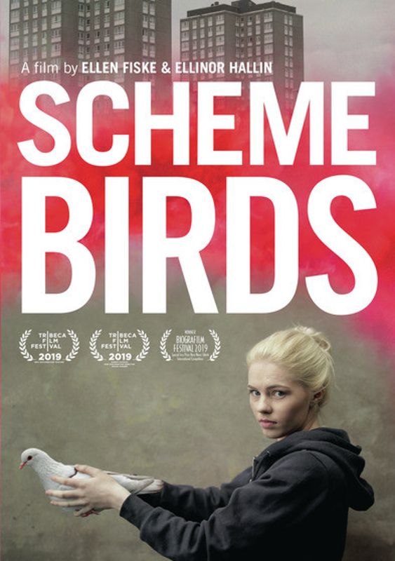 Scheme Birds cover art