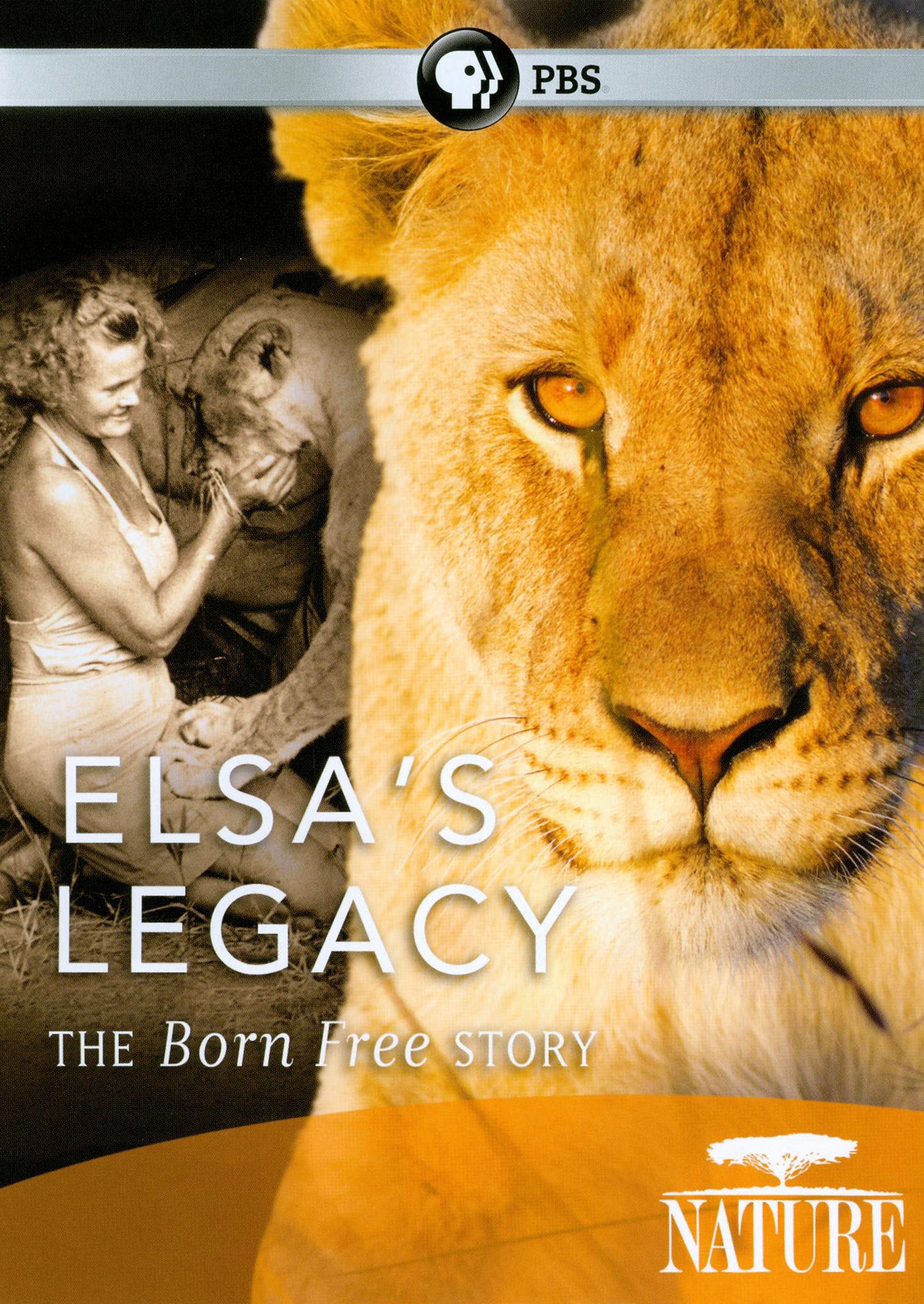 Nature: Elsa's Legacy - The Born Free Story cover art