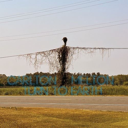 Turn to Earth cover art
