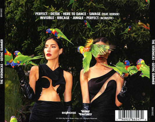 Gothic Summer cover art