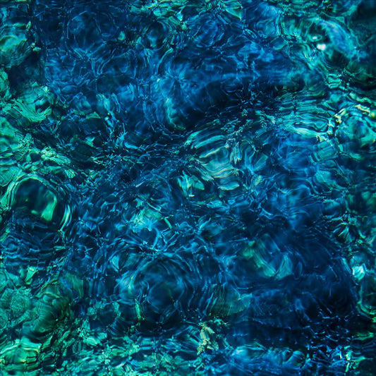 Luminescent Creatures cover art