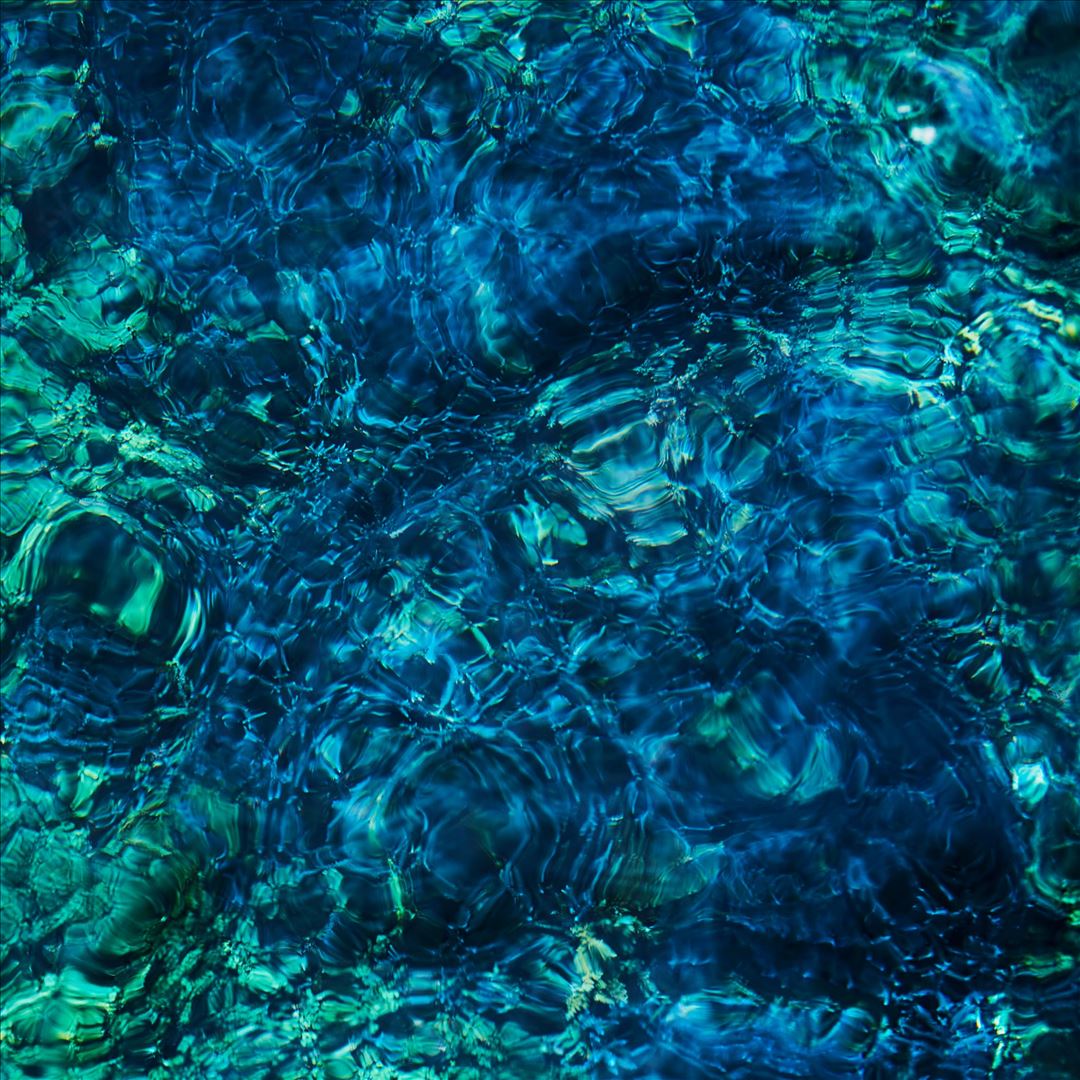 Luminescent Creatures cover art