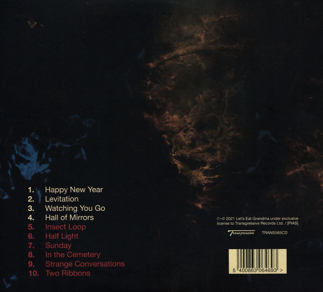 Two Ribbons cover art