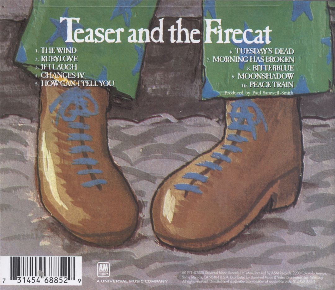 Teaser and the Firecat cover art