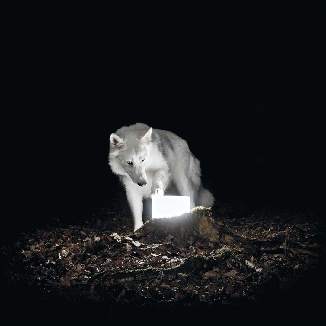 Surveillance [LP] cover art