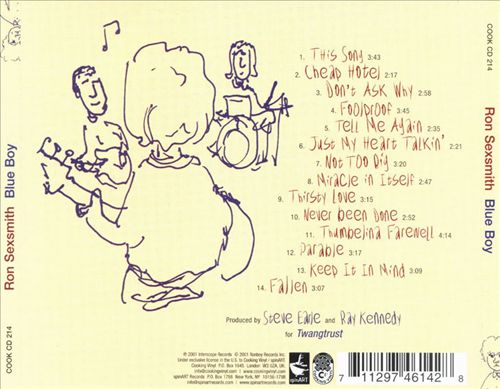 Blue Boy cover art