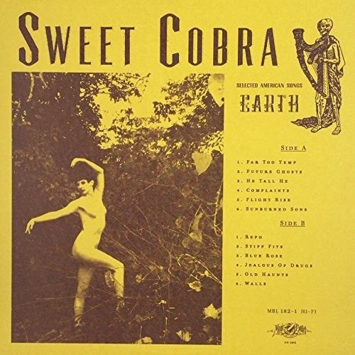 Earth cover art