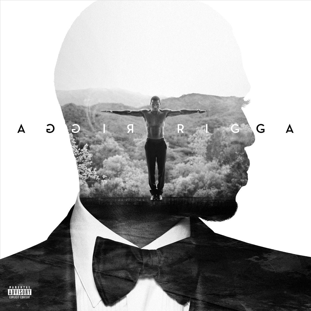 Trigga cover art