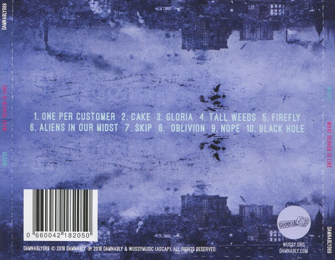 What Heaven Is Like cover art