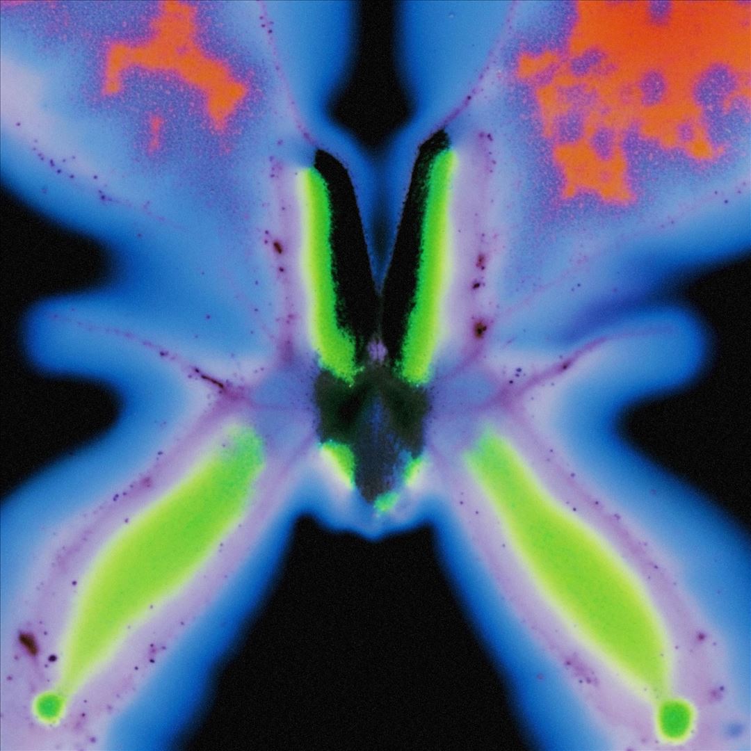 Elvers Pass cover art