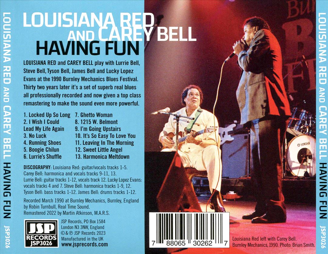 Having Fun: Live Meeting of the Chicago Blues cover art