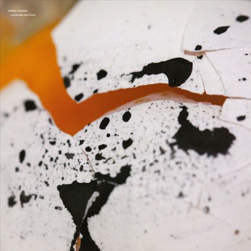 Landscape and Voice cover art