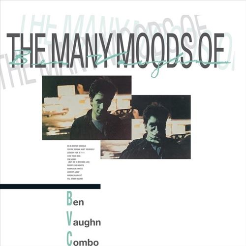 Many Moods of Ben Vaughn cover art