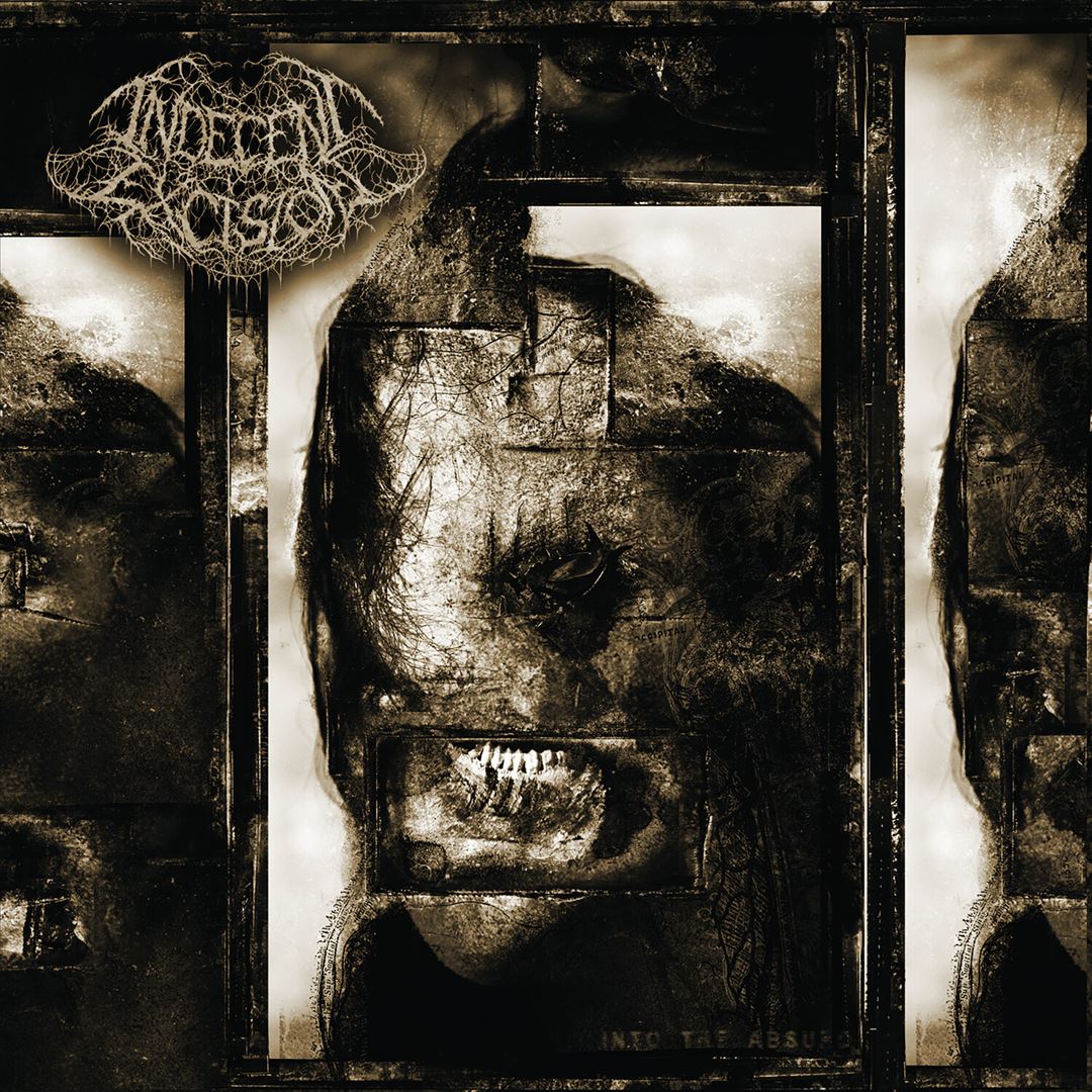 Into the Absurd cover art