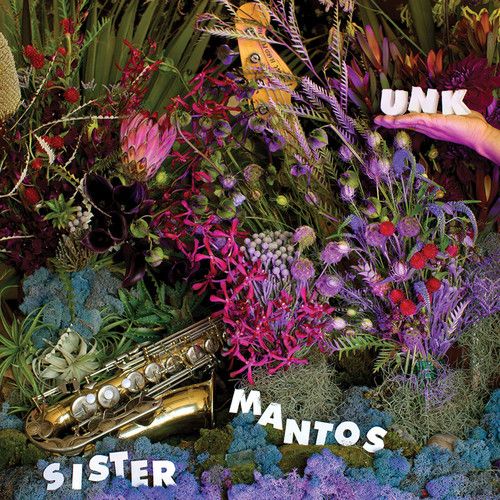 Unk cover art