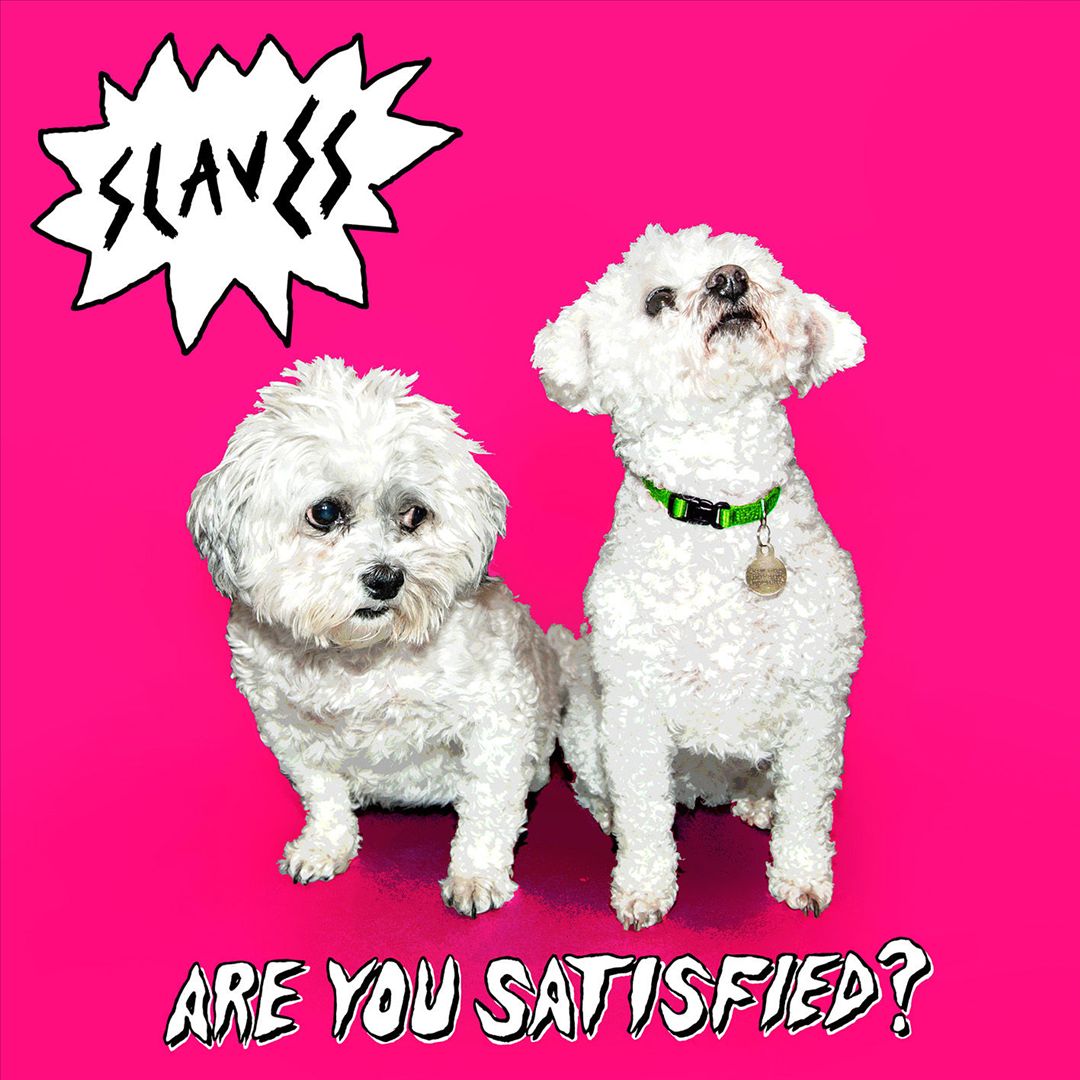 Are You Satisfied? cover art