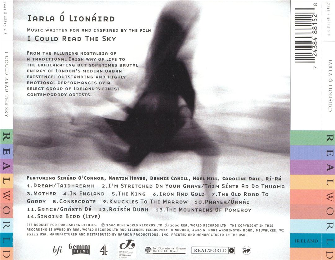 I Could Read the Sky cover art