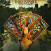 Turn of the Cards cover art