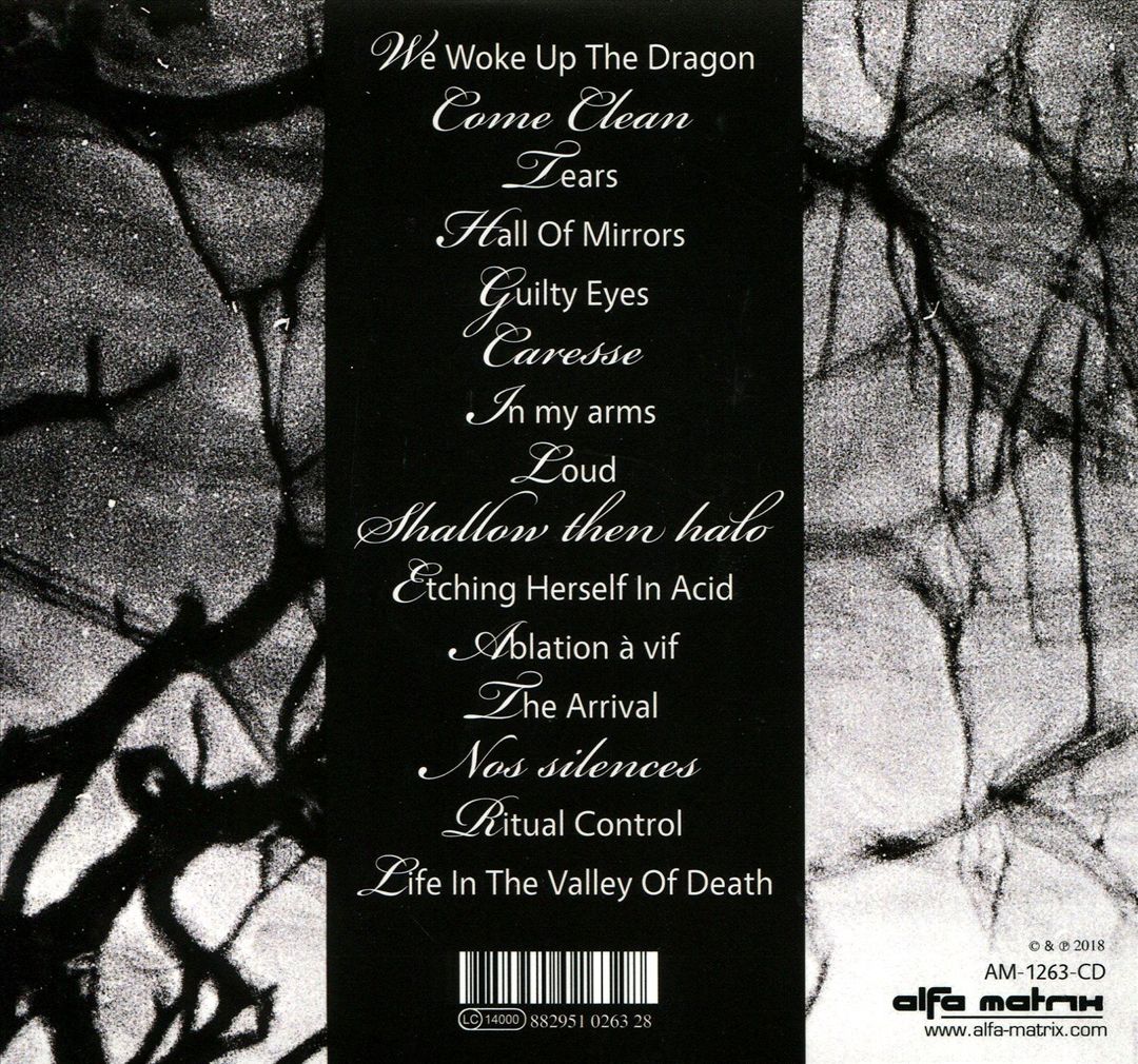 Sense & Nonsense cover art