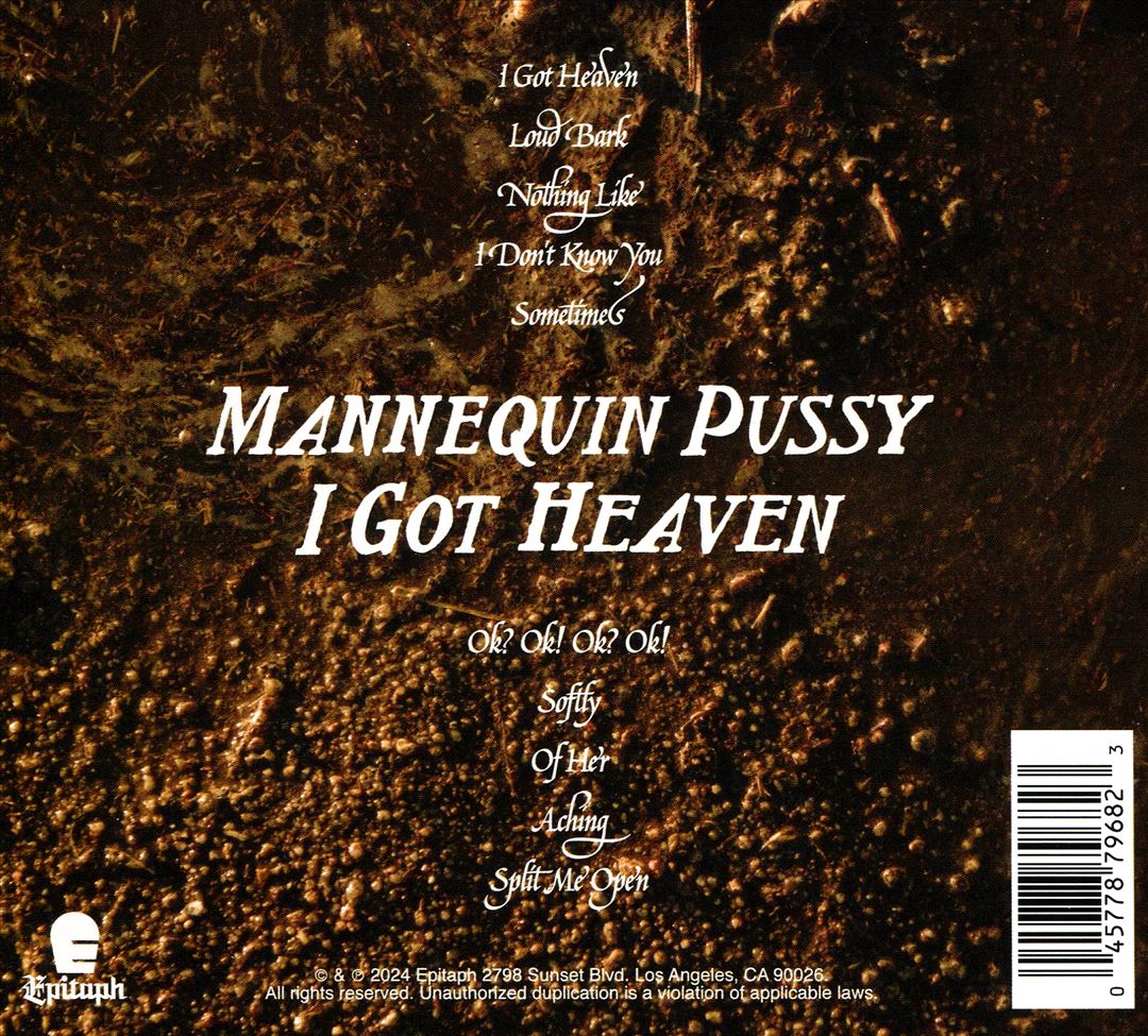 I Got Heaven cover art