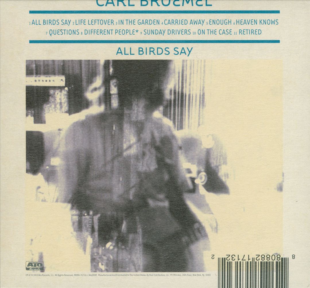 All Birds Say cover art