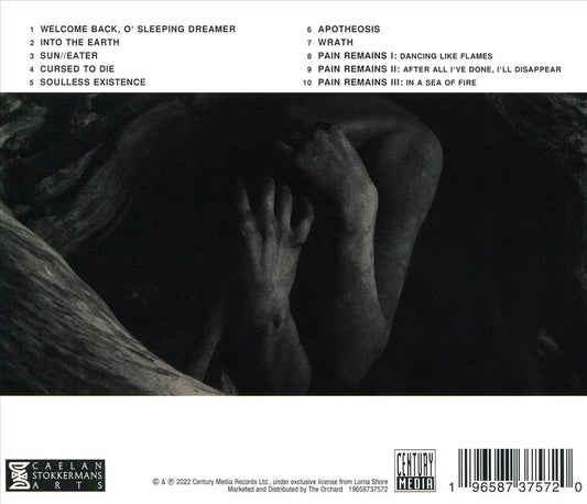 Pain Remains cover art
