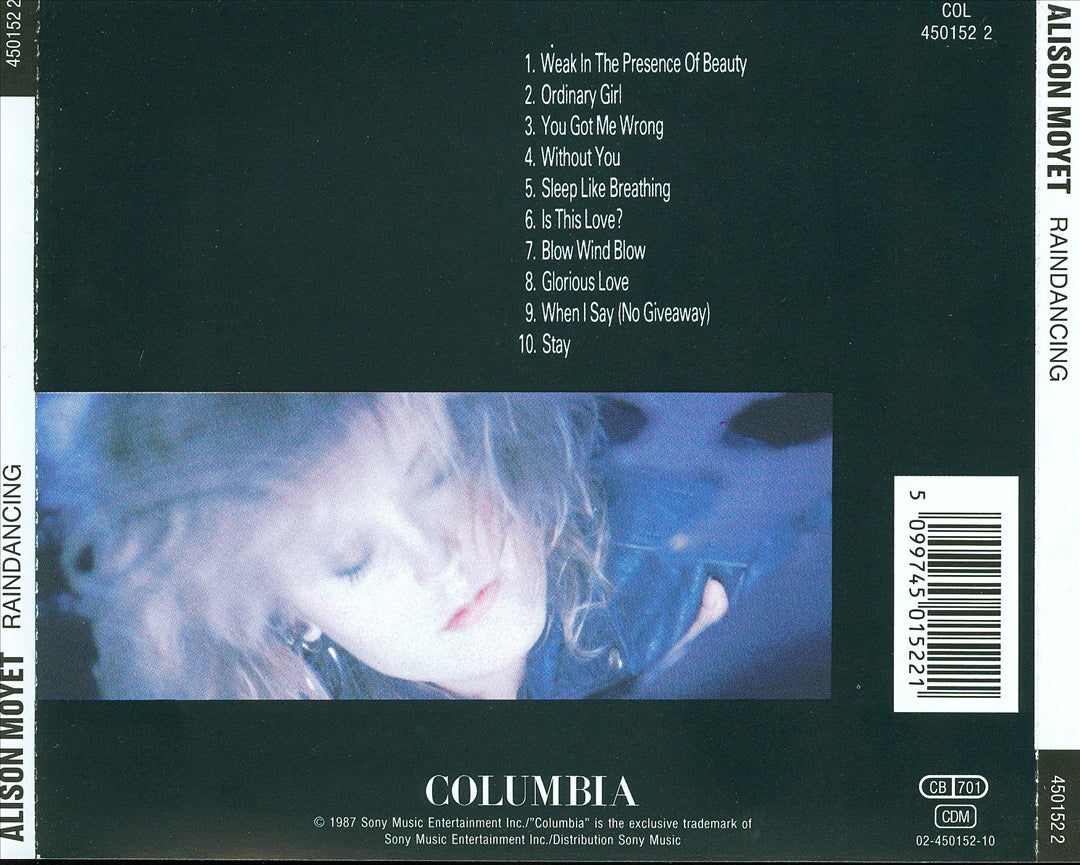 Raindancing [2003] cover art