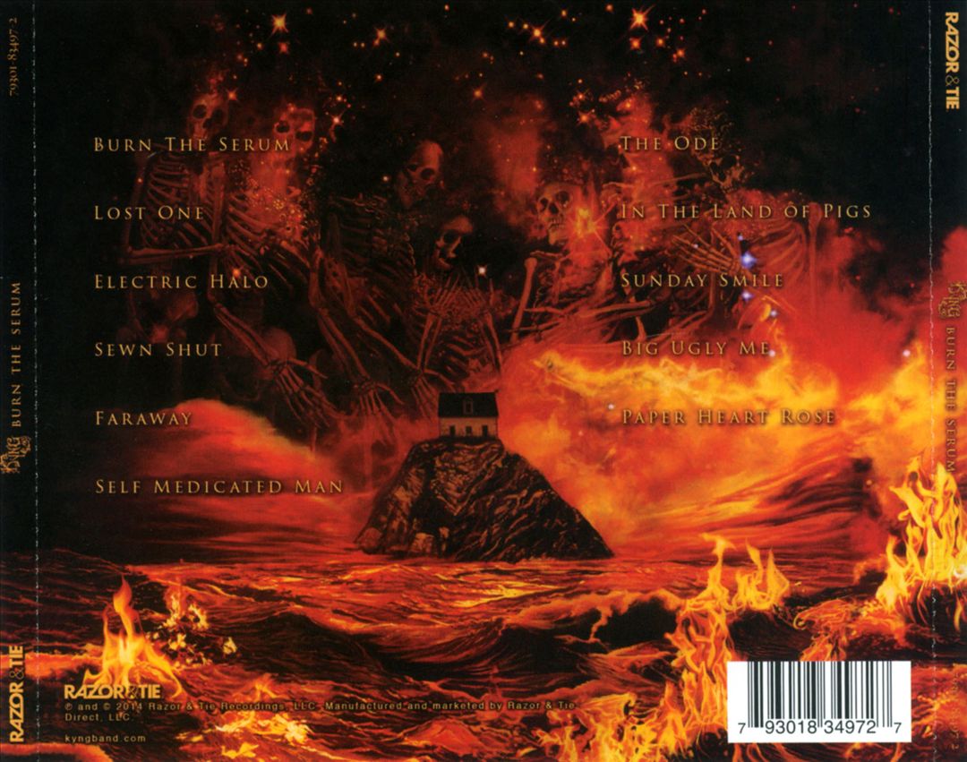Burn the Serum cover art