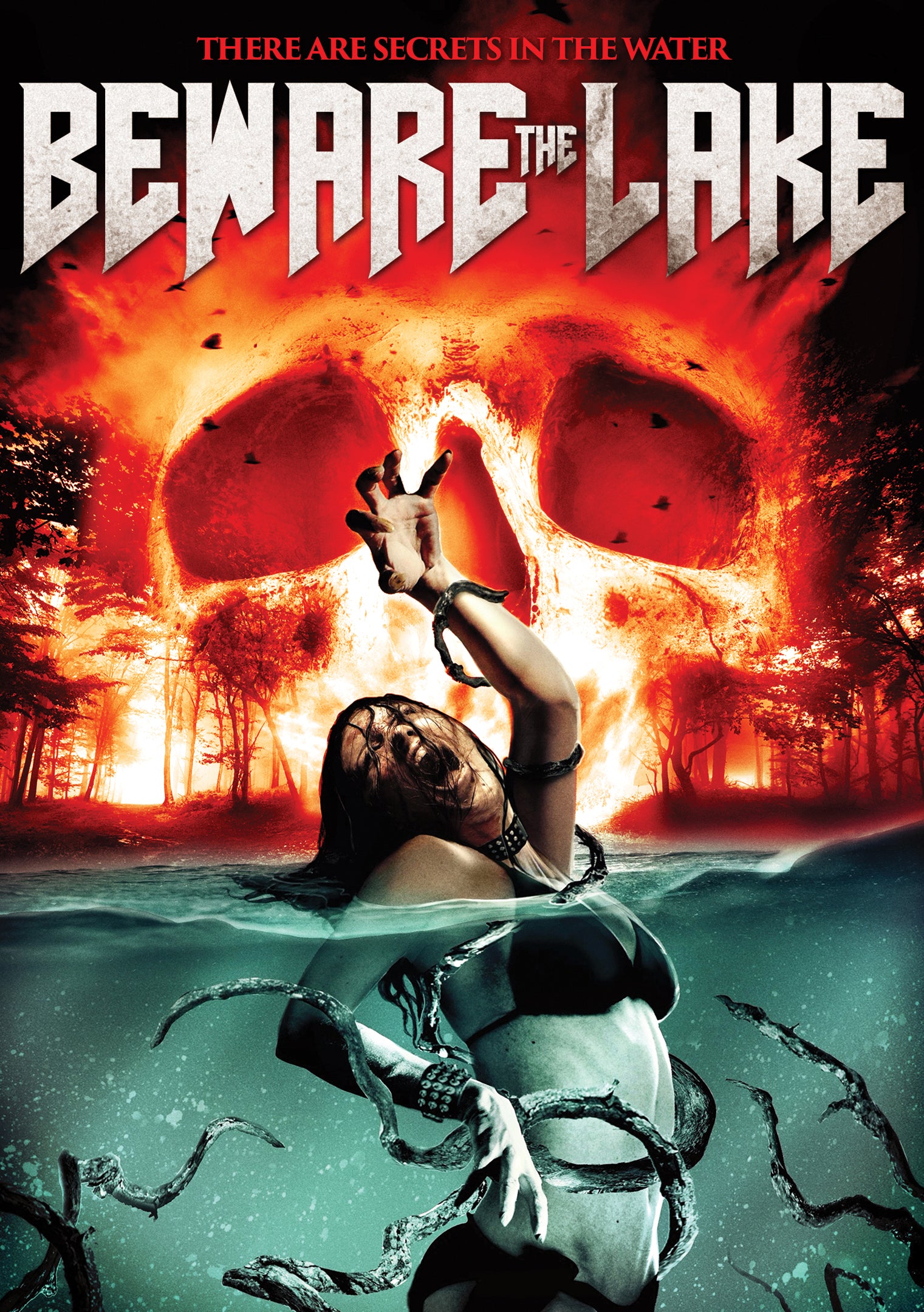 Beware the Lake cover art