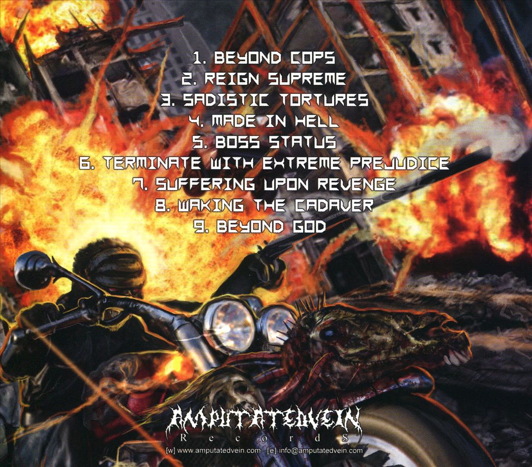 Beyond Cops, Beyond God cover art