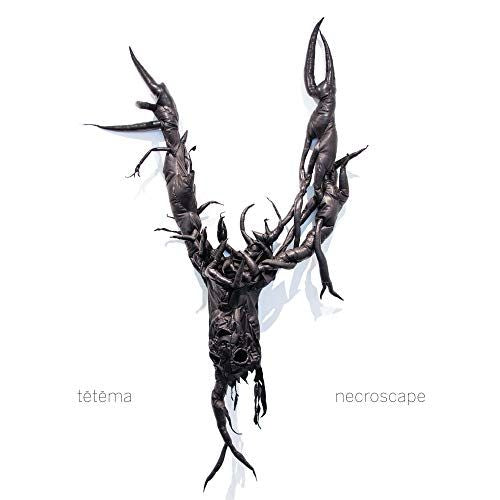 Necroscape cover art