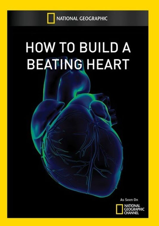 How to Build a Beating Heart cover art