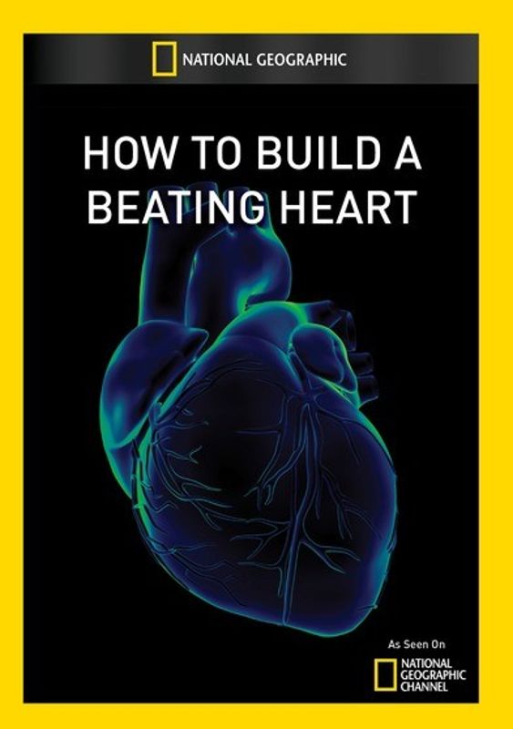How to Build a Beating Heart cover art