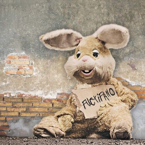 Fuctifano  cover art