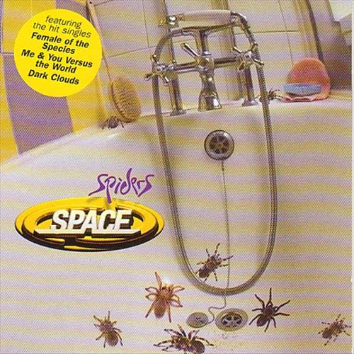 Spiders cover art