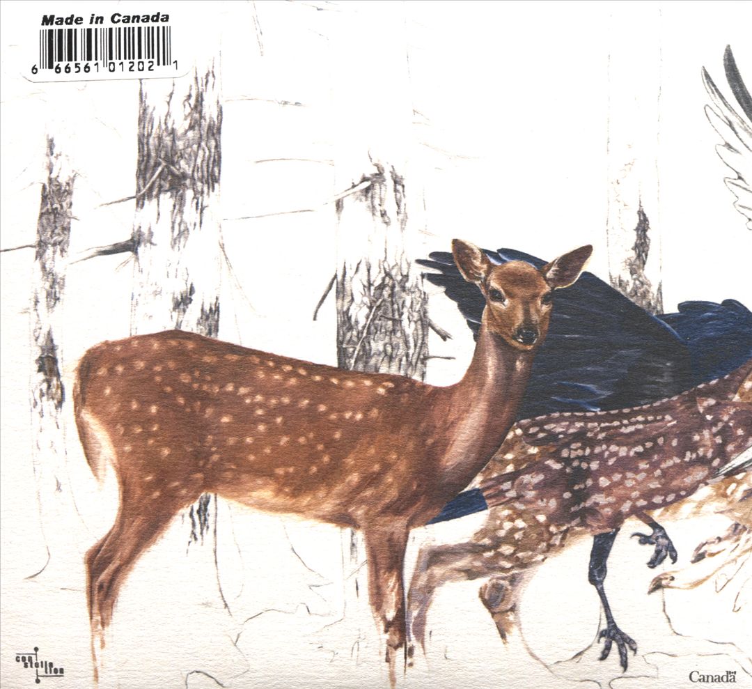 Stubborn Persistent Illusions cover art