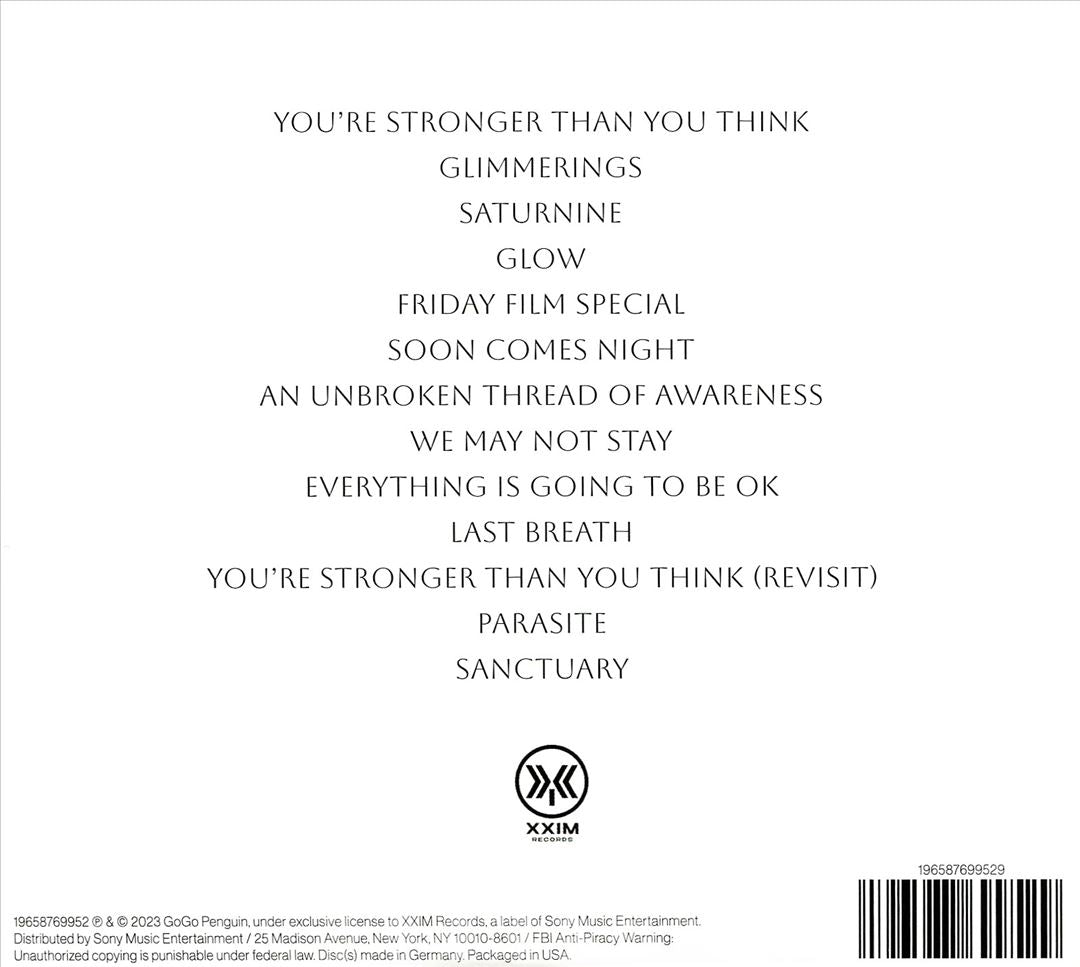 Everything Is Going to Be Ok cover art
