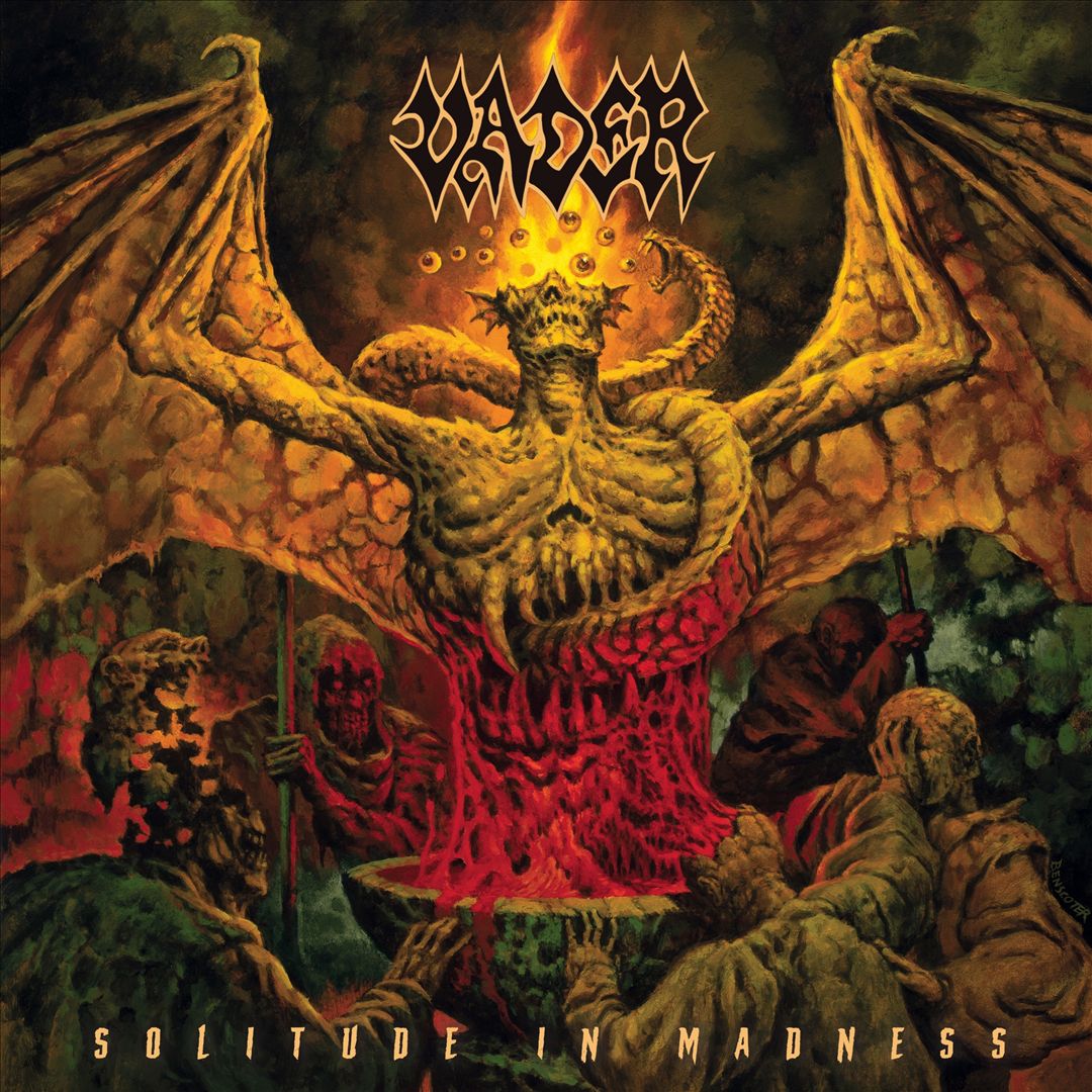 Solitude in Madness cover art