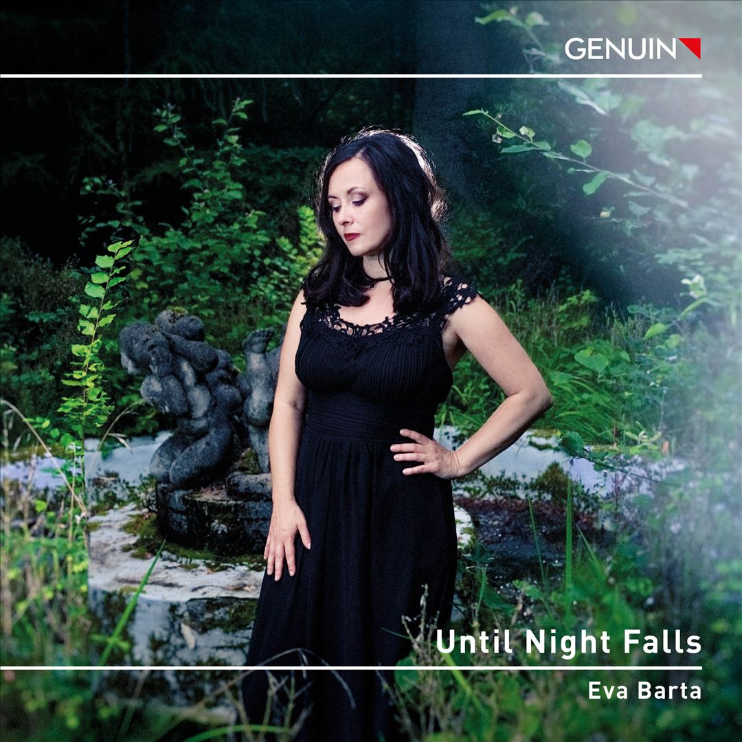 Until Night Falls cover art