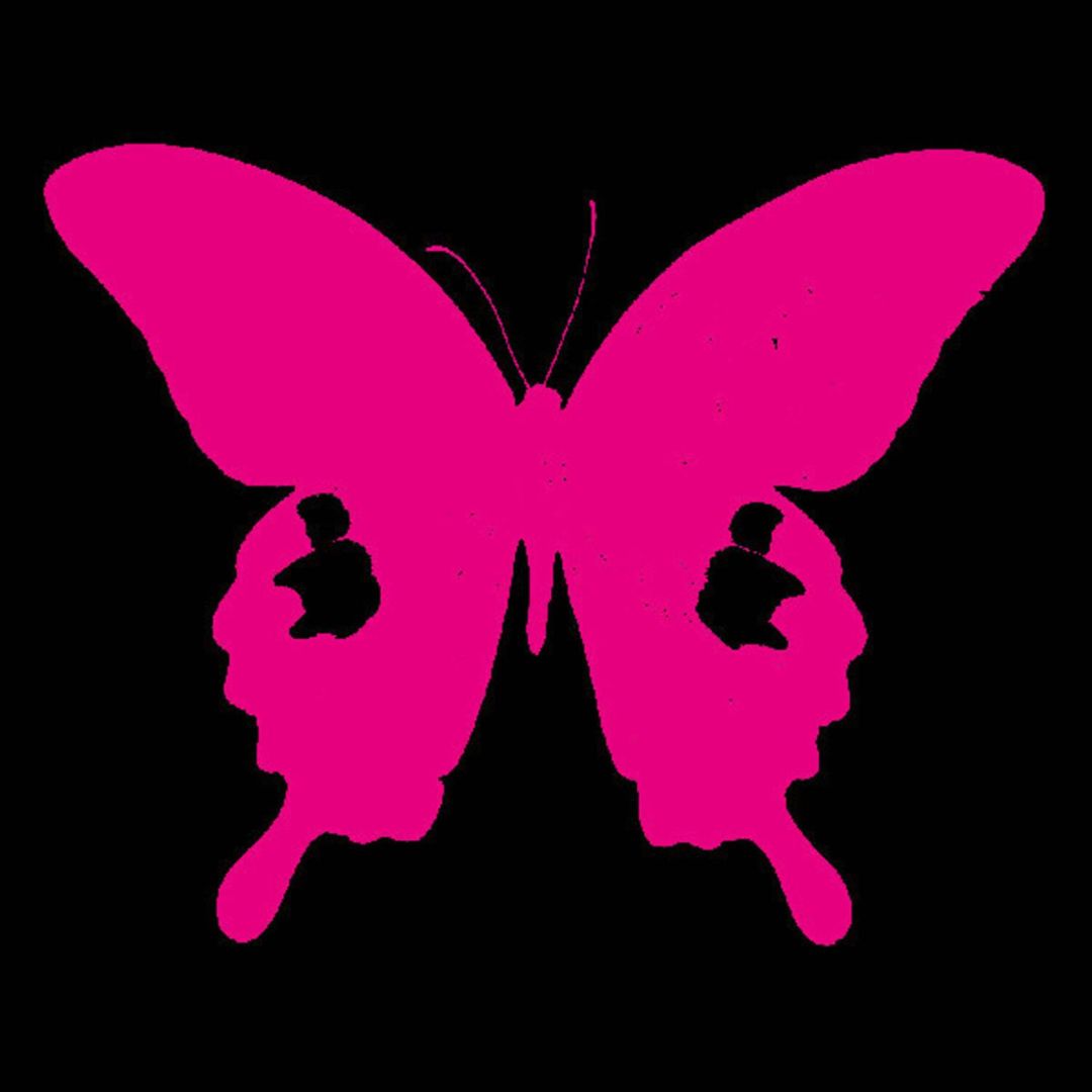 Paradise Live cover art