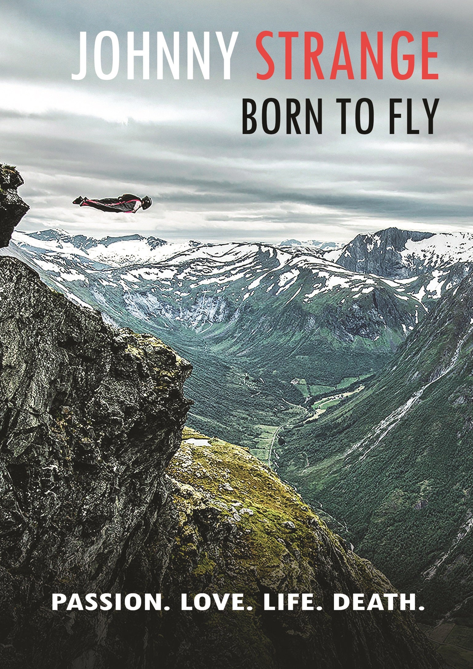 JOHNNY STRANGE: BORN TO FLY cover art