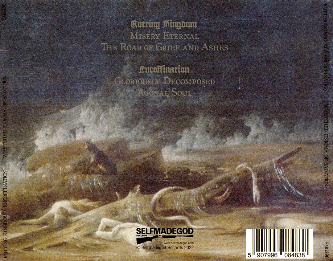 Wretched Enigma of Salation cover art