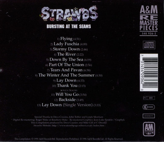 Bursting at the Seams [Japan Bonus Tracks] cover art