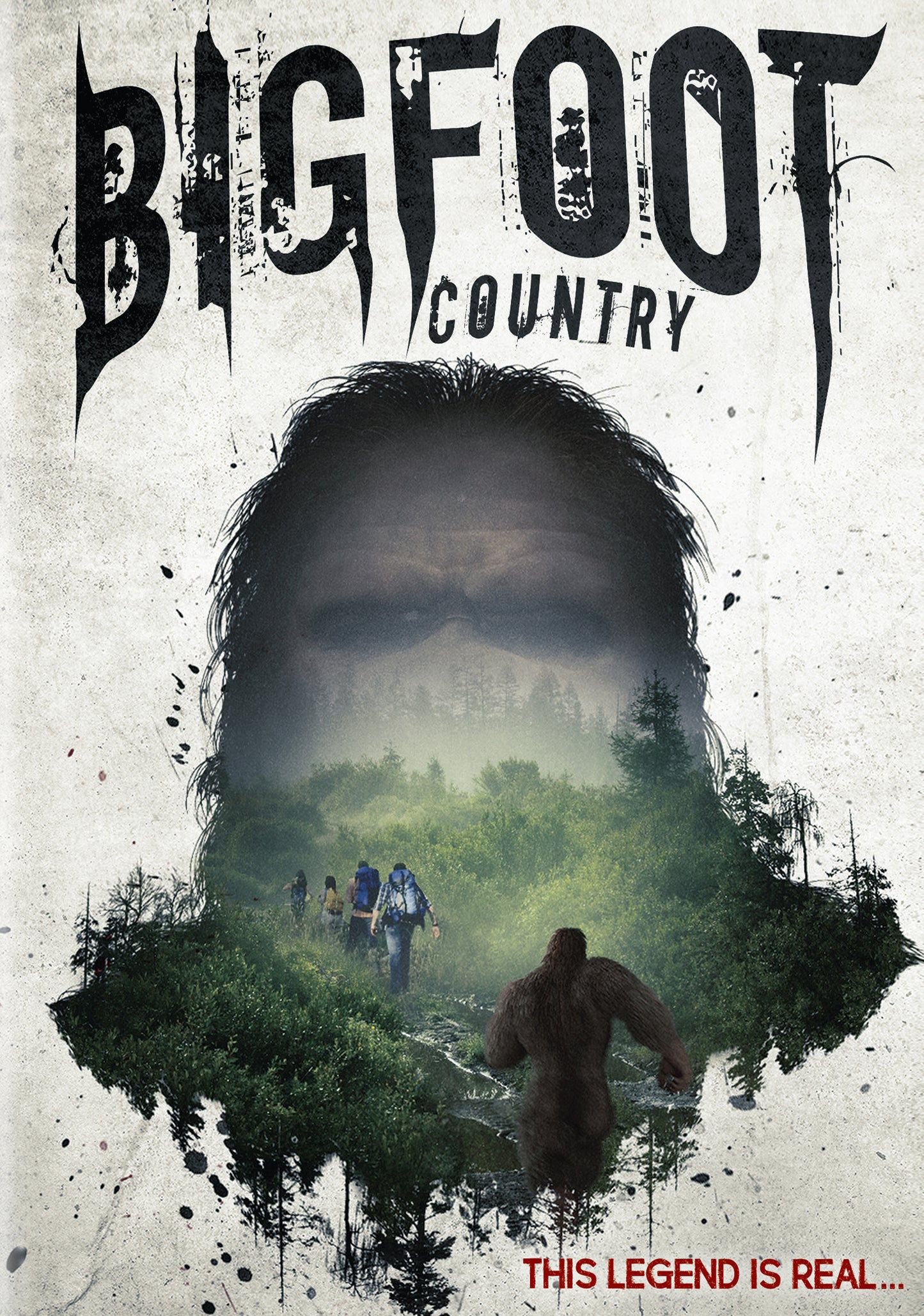Bigfoot Country cover art