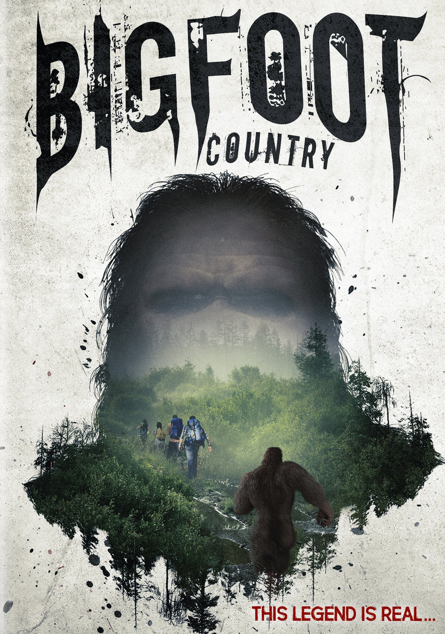 Bigfoot Country cover art