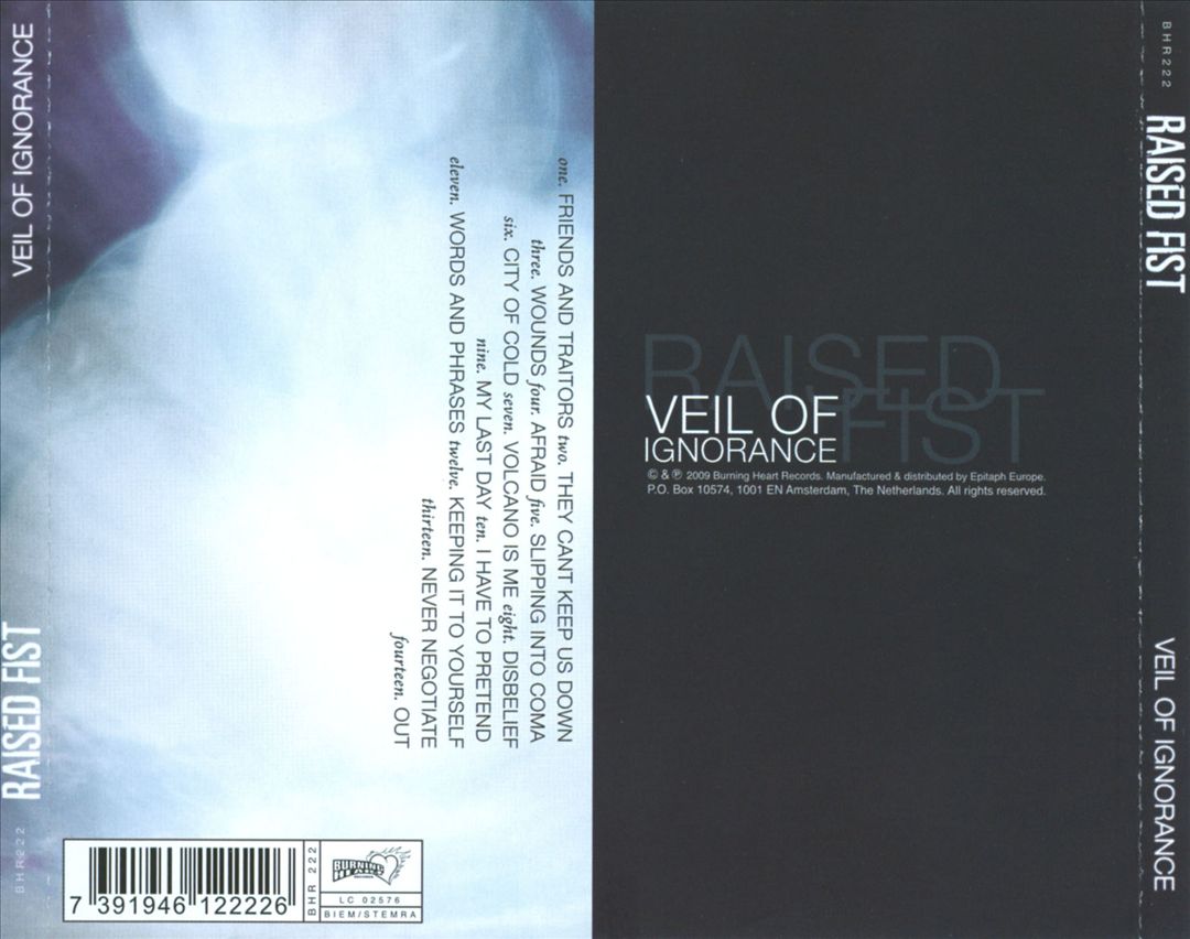 Veil of Ignorance cover art