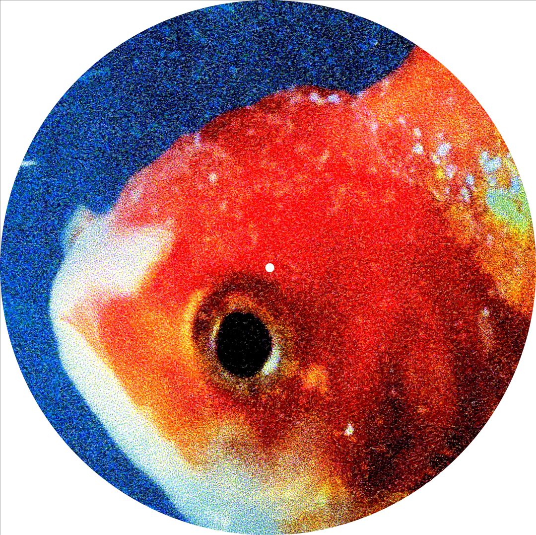 Big Fish Theory cover art