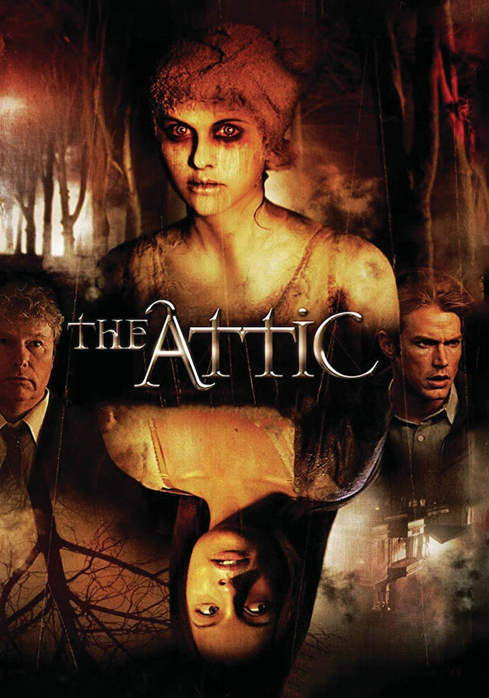 Attic cover art